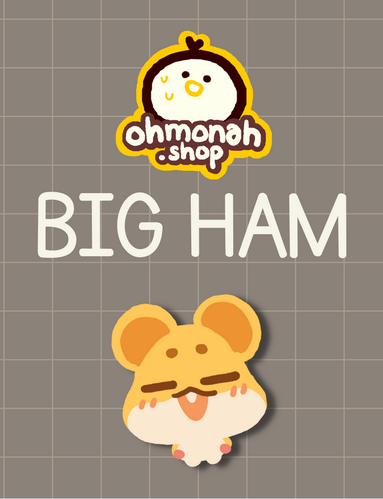 BIG HAM 2024