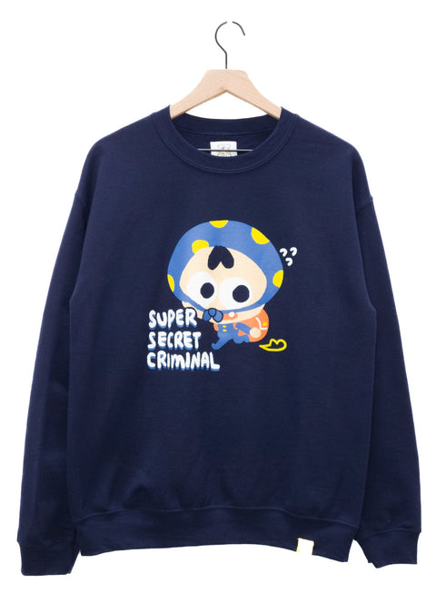 SUPER SECRET CRIMINAL sweater